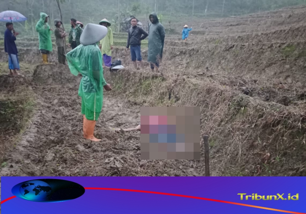 Diduga Akibat Kelelahan, Warga di Kandangserang Pekalongan Ditemukan Meninggal di Sawah