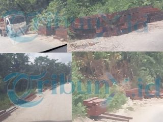 "Jejak Dugaan Pembalakan Liar Merbau di Sorong Selatan Terkuak, Rantai Distribusi Disorot"