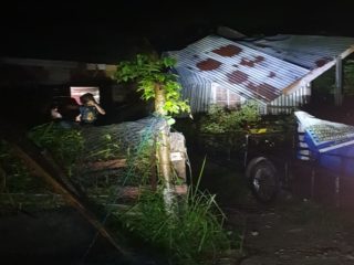Pohon Kelapa Tumbang Timpa Rumah Warga Banda Masen, Polsek Banda Sakti Turun Tangan