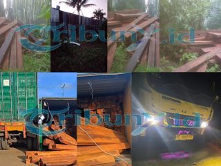 Aktivitas Gudang Klamlim Kembali Disorot, Kayu Dipertanyakan