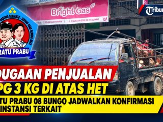 Usai Terjadi Ketegangan Saat Konfirmasi, RATU PRABU 08 Bungo Telusuri Legalitas Usaha AP